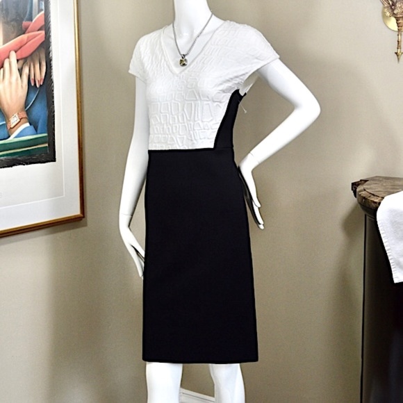 ππ·οΈ  St.John Black Lable Embossed CrocJacquard Knit Dress.-flattering πΊπΈ - Picture 5 of 13